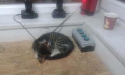 AlaattinYigit1's profile picture. 