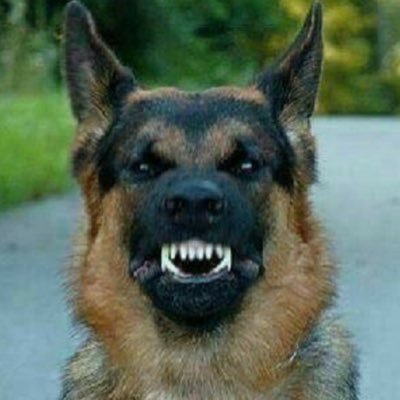 Retired Marine🇺🇲If you're easily offended then you might not want to follow! I will BLOCK advertisers 🇺🇸🇺🇸🇺🇸#MAGA #Buildthatwall 🇺🇸🇺🇸🇺🇸Republican!