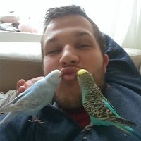 Jakob Witt (@witt_jakob) 's Twitter Profile