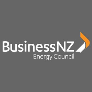 BusNZEnergy Profile Picture