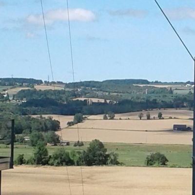 Husband and Father. I been hangin' around grain elevators, I been learnin' 'bout food, I been talkin' to soil farmers, I been workin' on land