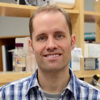 Steve Renaud (@sjrenaud79) 's Twitter Profile