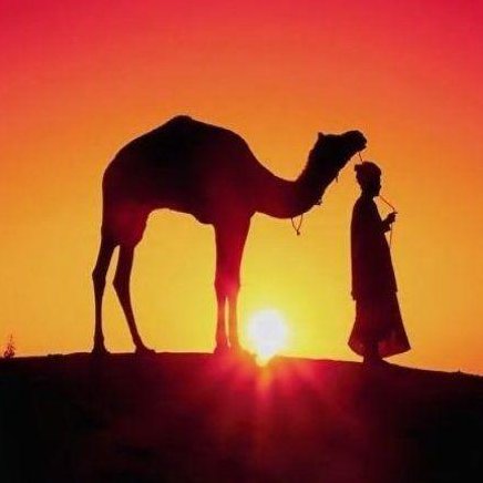 msalmahry's profile picture. محمد سعد