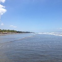 Ken (@ken74441777) 's Twitter Profile