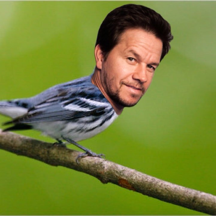 actor, producer, entertainer, Cerulean Warbler. lover of v-neck tee shirts and gettin the early worm baby. tweets are my own.