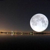 Mohammad45 (@mohammad4517) 's Twitter Profile