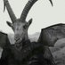 Satanas Herrera (@herrerasatanas) Twitter profile photo Satanas Herrera (@herrerasatanas) Twitter profile photo