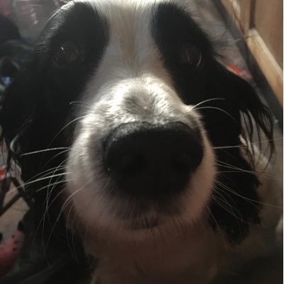 My name is Thea and I am 12 yrs old. I love social medias coz posting is the best. I play games and my fav tv show is Vampire Diaries and Greys Anatomy.