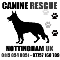 Canine Rescue(@CanineRescue) 's Twitter Profileg
