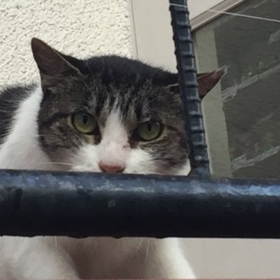 RT垢さんのプロフィール画像