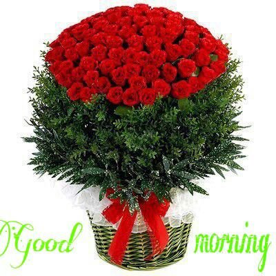 Sanjay210572's profile picture. 