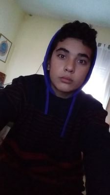 Rugby Deportes Música