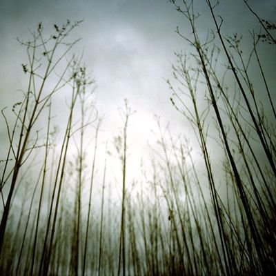 dwiguna's profile picture. 