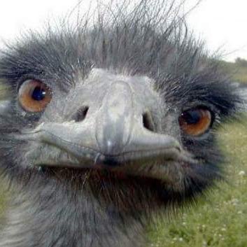 caguado1976's profile picture. 