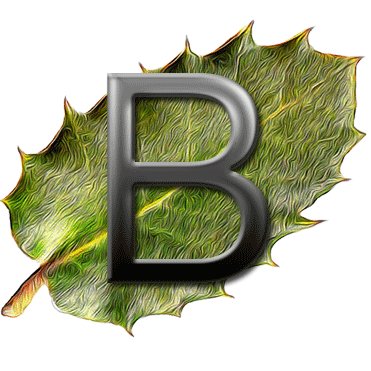 BalanusSpanien's profile picture. 