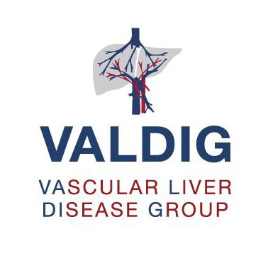 VALDIG (Vascular Liver Disease Group) is an independent network of researchers with a common interest in Vascular Liver Diseases.