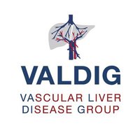Valdig Group(@ValdigGroup) 's Twitter Profileg
