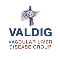 Valdig Group (@valdiggroup) 's Twitter Profile