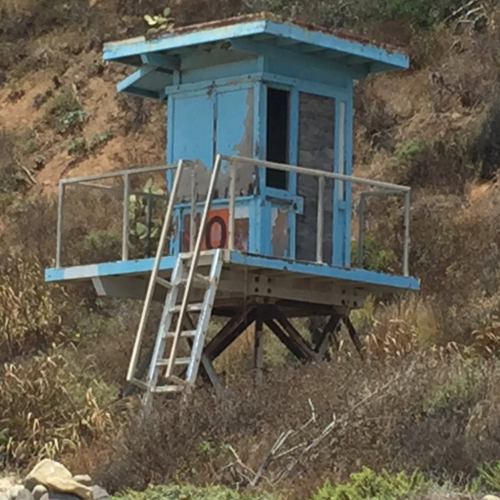 GreenIzGood1's profile picture. A collaborative effort focusing on bringing #sustainability to the masses. Find us online at https://t.co/trIeJX2OHE.