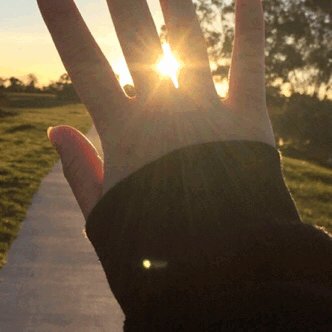 Taylor02768544's profile picture. 