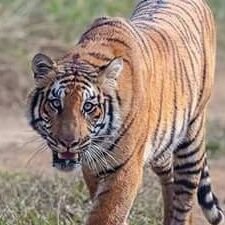 PrashantaNirau2's profile picture. Just want to be an engineer.
Fan of SCRIPT...**# I am a Gorkhali*#