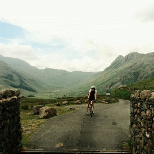 jsswntr's profile picture. 