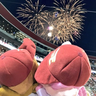 宮城県出身神奈川在住/楽天イーグルス🦅/ワシブラ🍿/阪神も応援🐯/5歳男児ママ/オタクなのでアニメとかも‼︎/無言フォロー失礼します😭