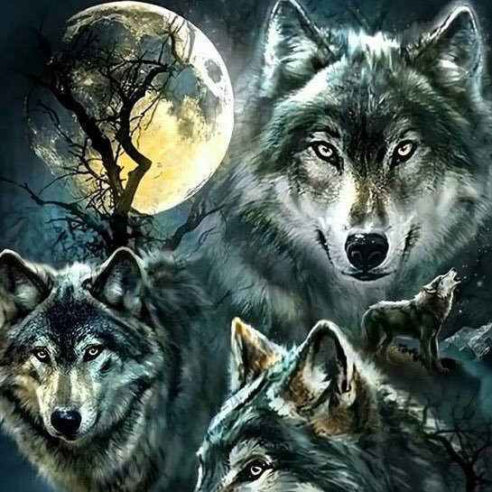 FirefistAce92's profile picture. 