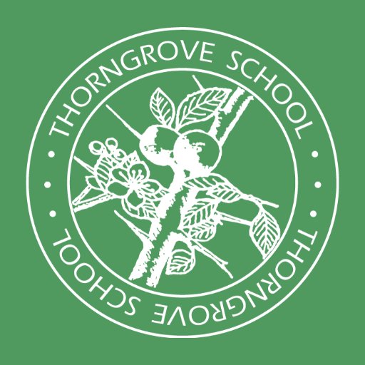 The Headmaster at @ThorngrovePrep, a happy, independent prep school for children aged 2 - 13.