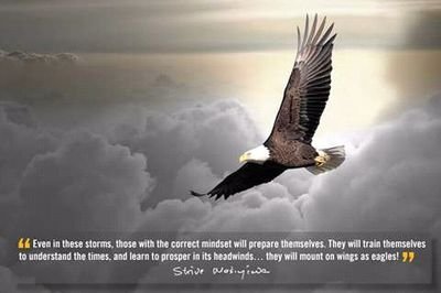 NanaPok07682279's profile picture. The Battle Is The Lords