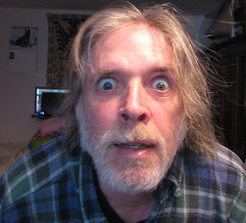 mad, totally, unexcusably mad  There is pleasure sure in being mad that none but Madmen know. John Dryden 1631~1700