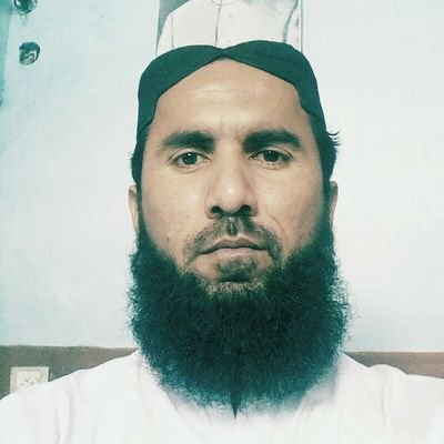 naimatkolachi's profile picture. journalist