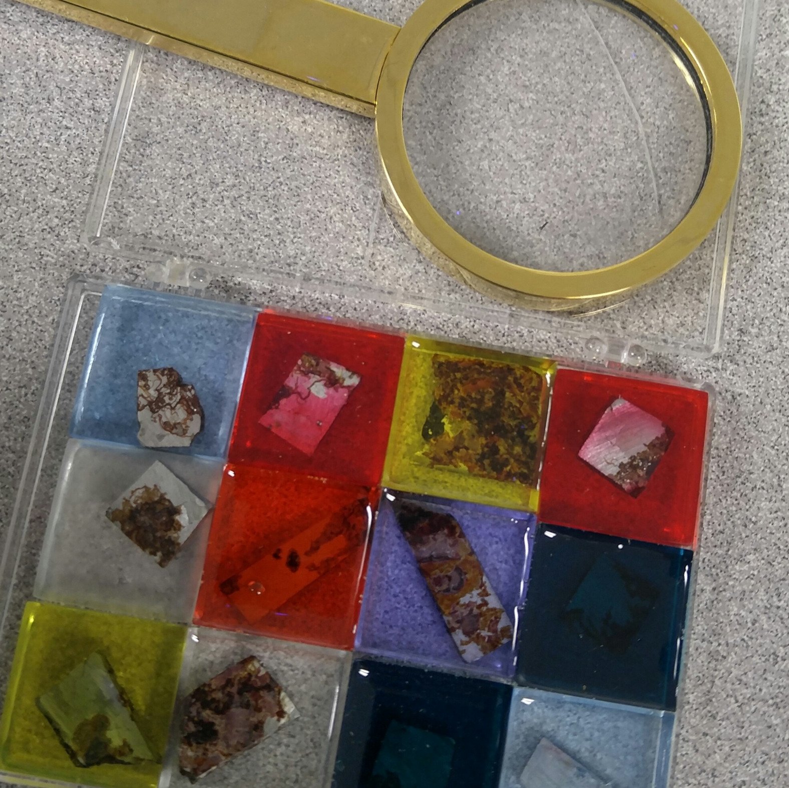 tay_she's profile picture. 