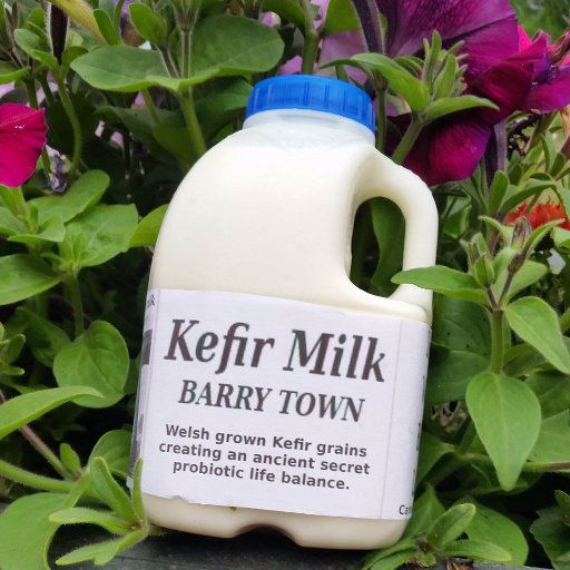 KefirBarry's profile picture. Yoghurt is the best know probiotic food in the Western diet Kefir is a more potent source, Discover the healthy you. Start here with Welsh cows kefir