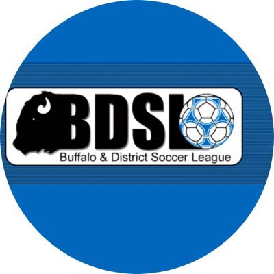 Over 35 Division in the BDSL comprised of 12 teams from throughout Western, NY.