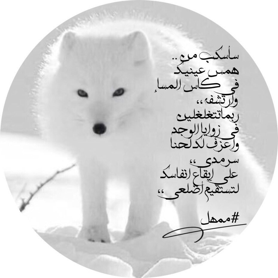 https://t.co/eTB2LRaqLc #ممهل ❤️QTR❤️
