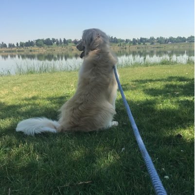 sarbix08's profile picture. 