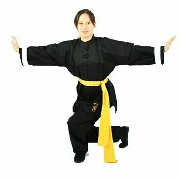 Lee_Tai_Chi's profile picture. Lee style Tai Chi classes as taught by master Chee Soo with Taoist Cultural Arts Association @SeahorseArts