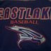Eastlake Baseball (@EHS_FalconBSBL) Twitter profile photo