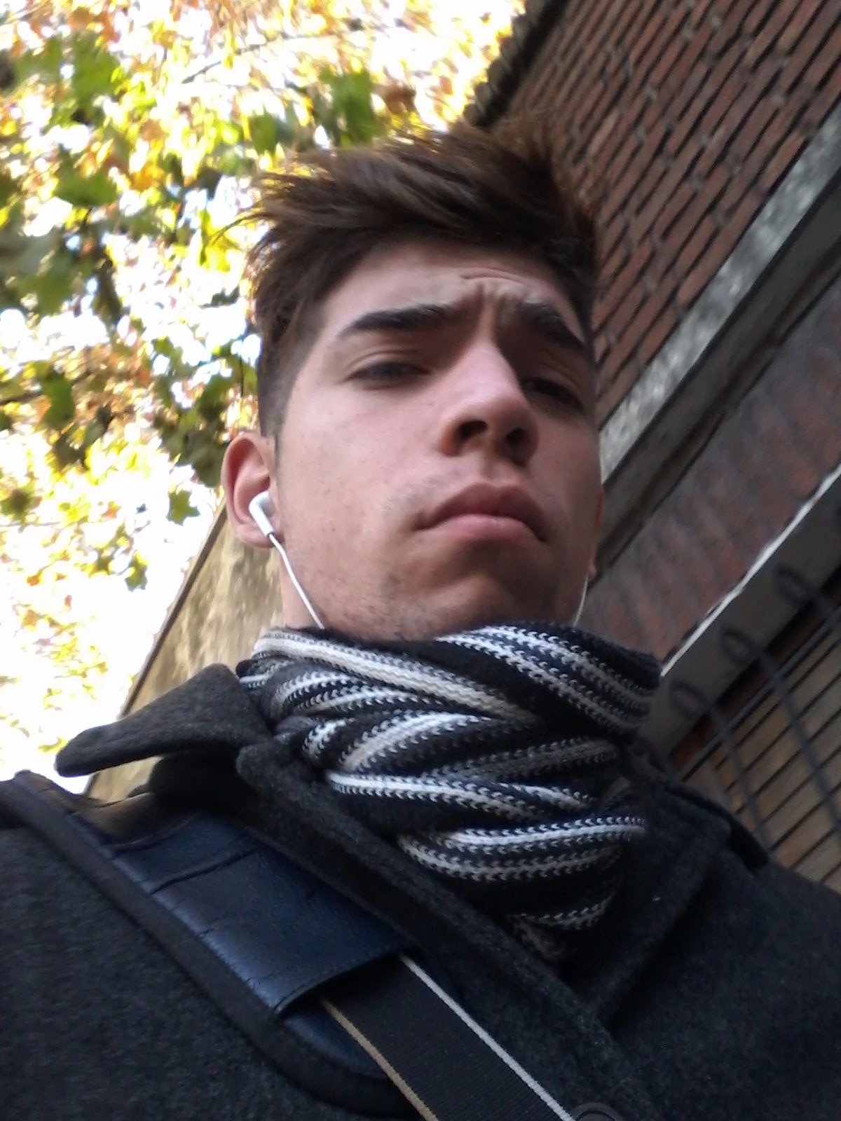 SebasTripodi's profile picture. 