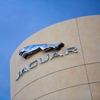 Jaguar Albuquerque(@JaguarABQ) 's Twitter Profile Photo
