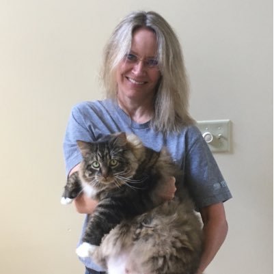 ceggleston7's profile picture. Wife, Mom, McCord Middle School Counselor, Adventure Seeker, Large cat owner