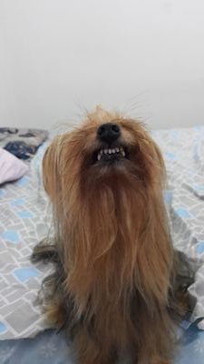 cinewinchester's profile picture. Me segue que sigo de volta ! 😊 #BetaQuerLab