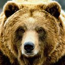 Grizzly Capital (@GrizzlyCapital) Twitter