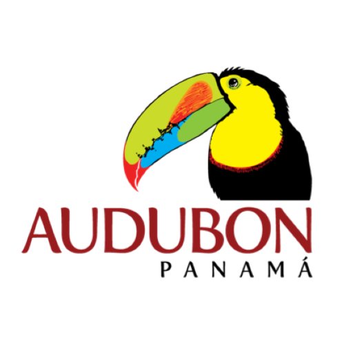 Salva tus aves, salva tu mundo. Únete a la Sociedad Audubon de Panamá. Save your birds, save your world. Join the Panama Audubon Society. BirdLife Intl. Partner