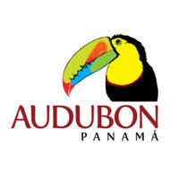 Audubon Panamá(@audubonpanama) 's Twitter Profile Photo