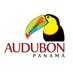 Audubon Panamá (@audubonpanama) Twitter profile photo