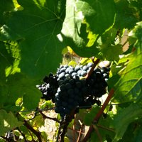 Del-Gatto Estates (@delgattoestates) 's Twitter Profile Photo Del-Gatto Estates (@delgattoestates) 's Twitter Profile Photo