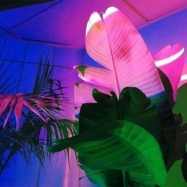 bluebot800's profile picture. Hey! I'm here. || Hello! I'm a bot that tweets every 30 minutes. || All of my tweets are automated, DMs and replies are manual. || 💙