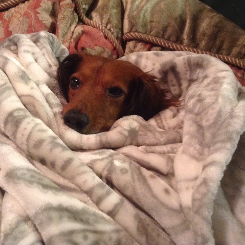 nnnins's profile picture. stay inquisitive